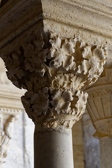 Abbaye de Montmajour-052